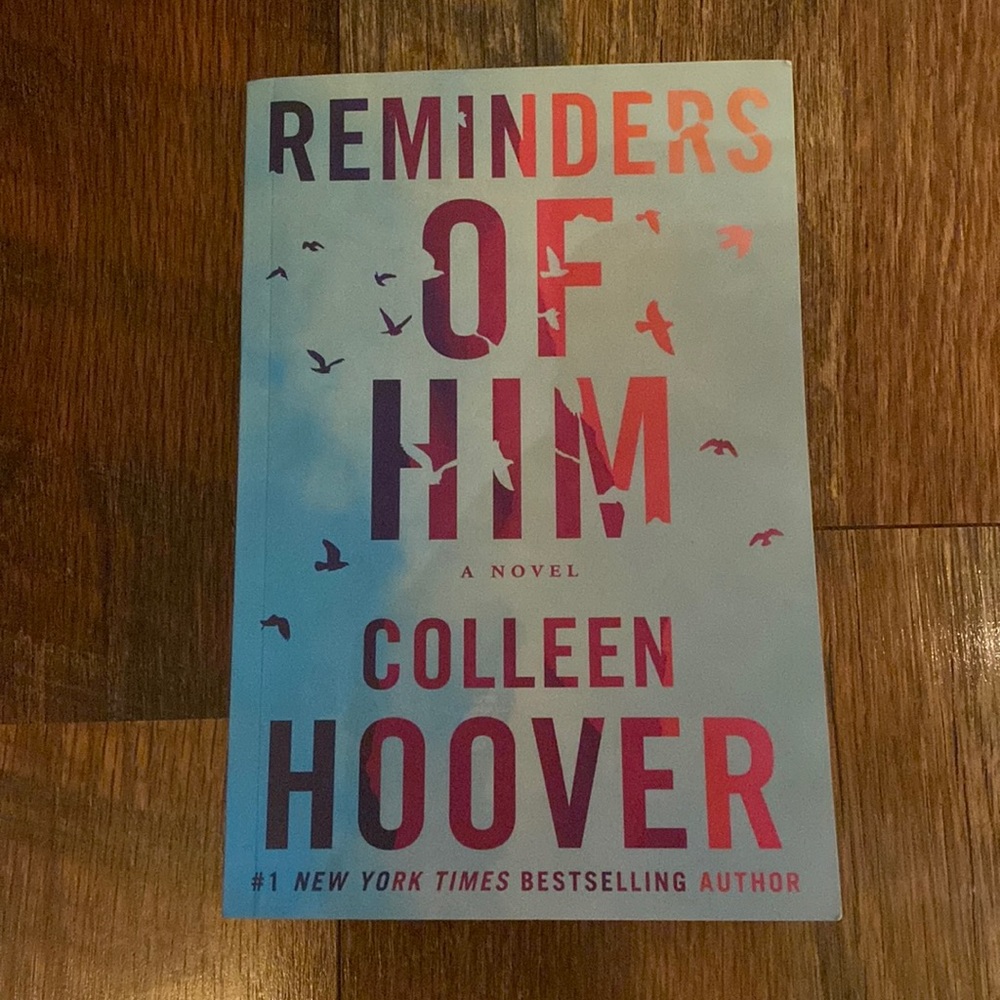 'Reminders of Him' Novel - Blue and Pink Cover
